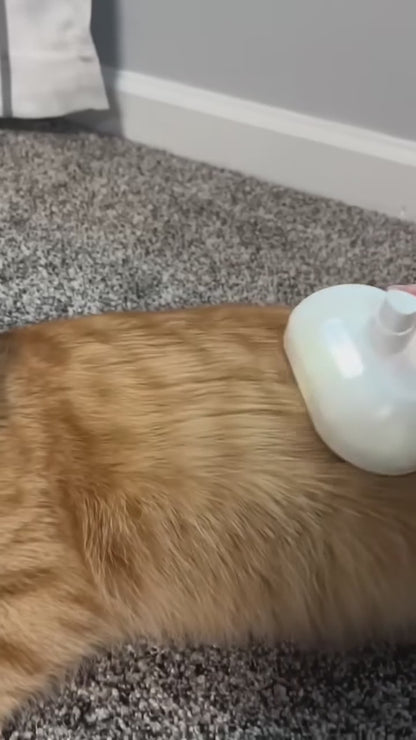FreshFur™ SteamCare Brush